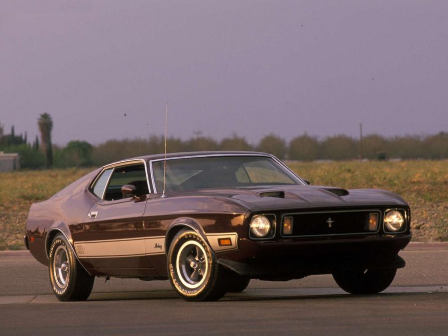  Ford Mustang Mach I Sportroof 1973 года  (фото 3 из 6)